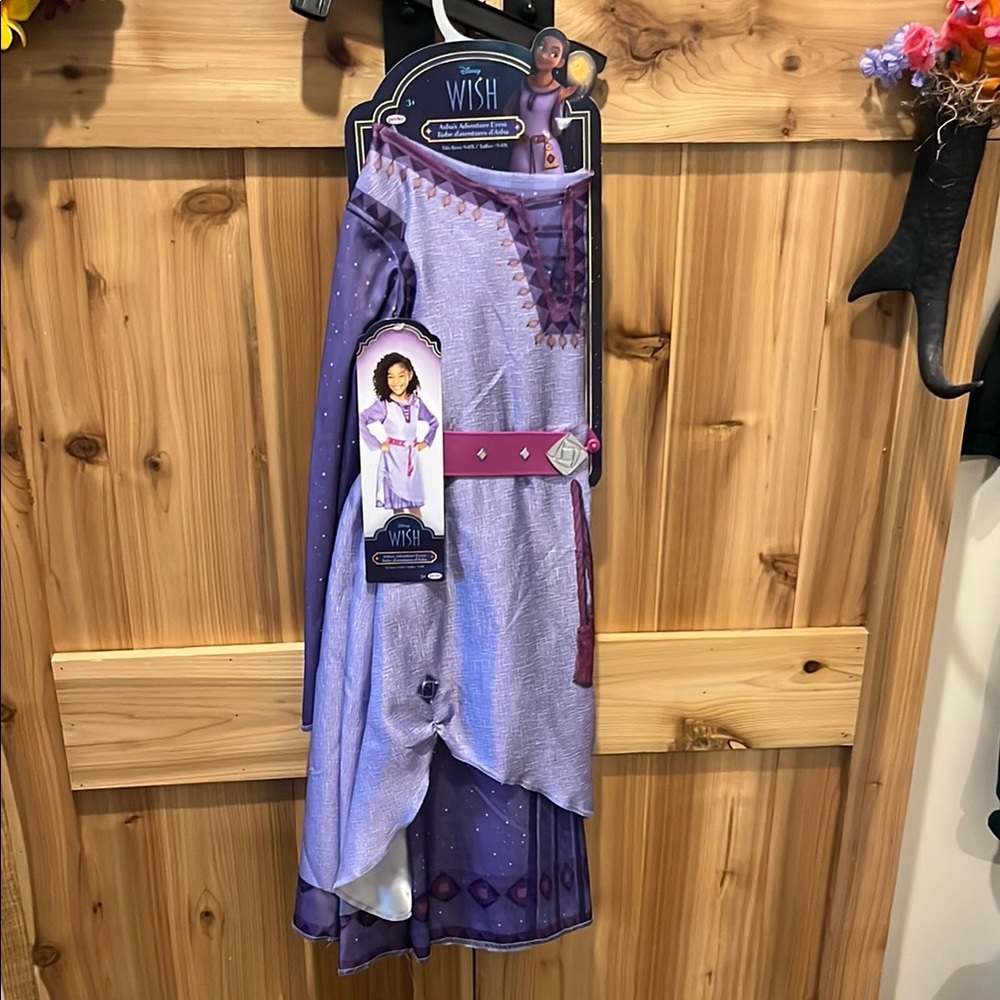 Disney Purple Wish Asha Princess Dress - Picture 1 of 7